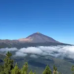 Mareverde * Costa Adeje (Tenerife)